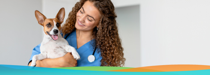 Why Spaying and Neutering Your Pet Matters
