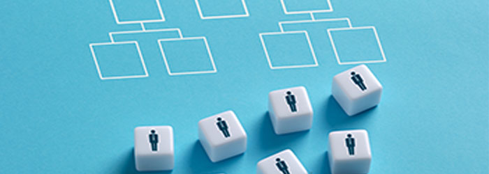 Responsibilities of an HOA Management Company